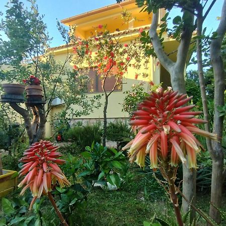 Adria Apartments 圣菲利普雅科夫 外观 照片
